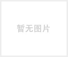 防水堵漏宝（FDB-401）